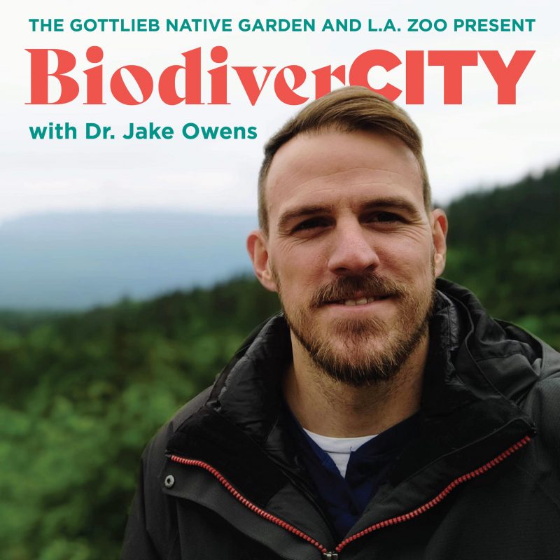 BiodiverCity podcast artwork